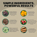LymphLuxe™ Lymphatic Drainage - image 5
